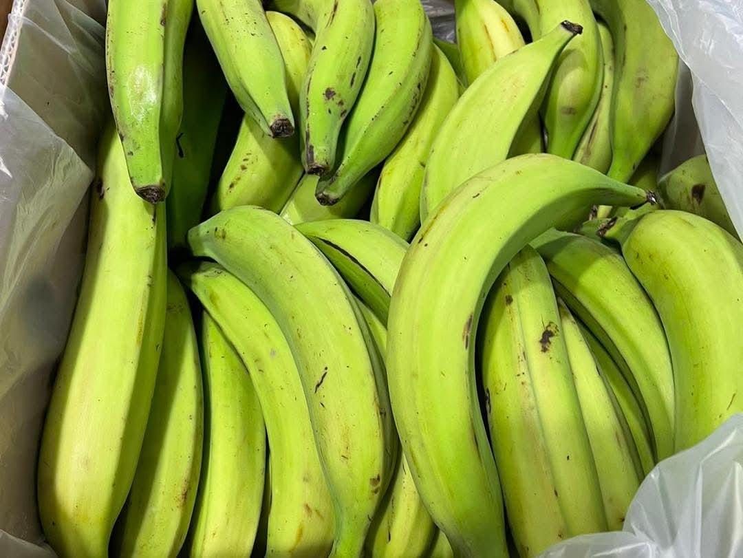 Green Plantains (Bunch)